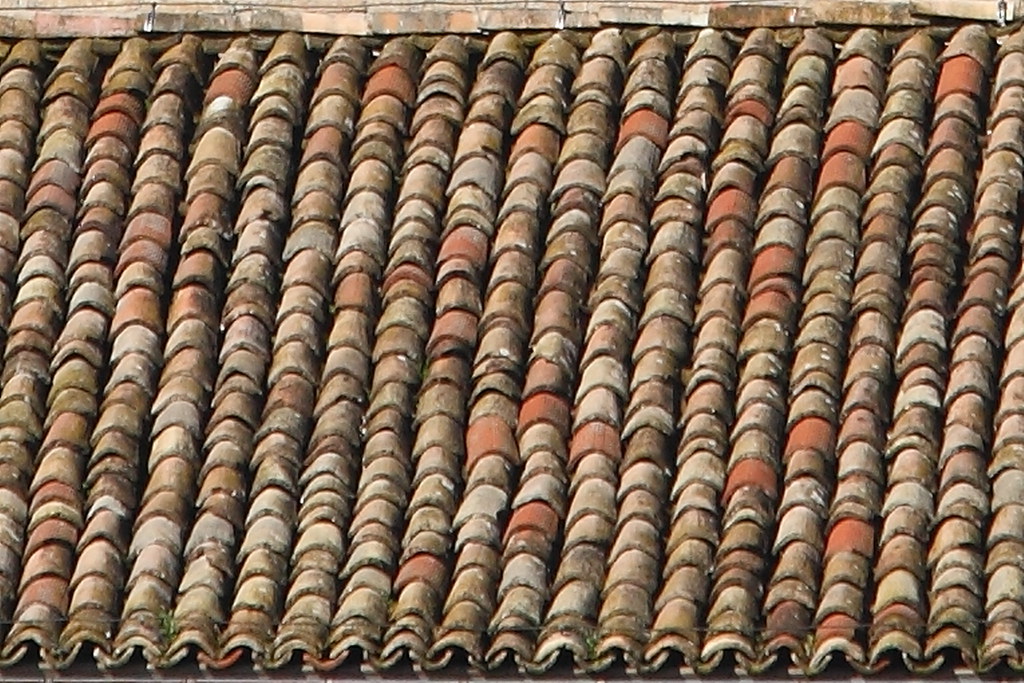 Weathered, moss-worn tile roof close-up